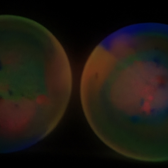 Glow in the dark coasters (set of 4) - Picture 1 of 2